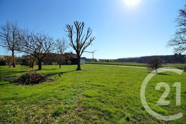 Maison &agrave; vendre - 2 pi&egrave;ces - 62,22 m2 - La Chapelle Encherie - 41 - CENTRE