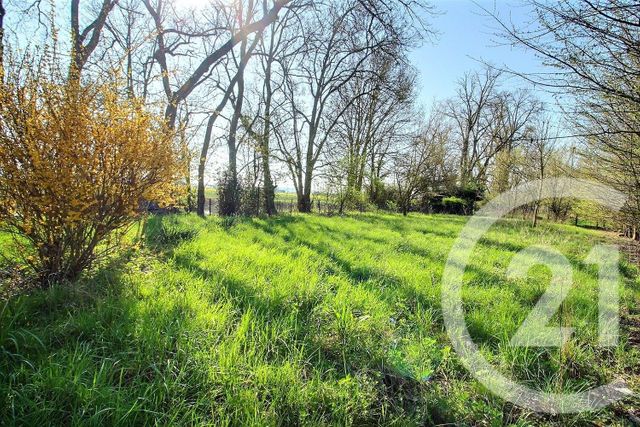 Terrain &agrave; vendre - 6482 m2 - St Ouen - 41 - CENTRE