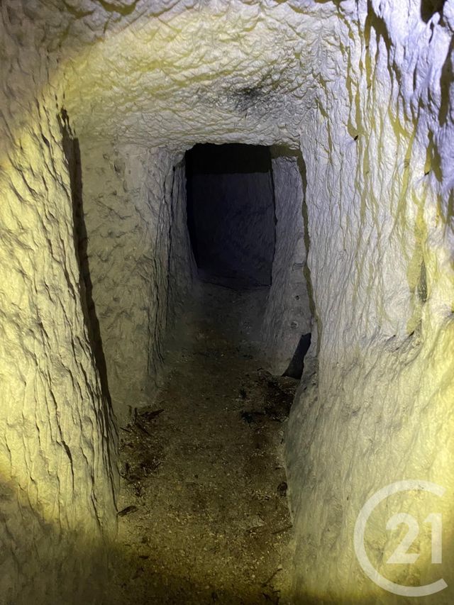 Maison à vendre - 1 pièce - 595 m2 - Vendome - 41 - CENTRE