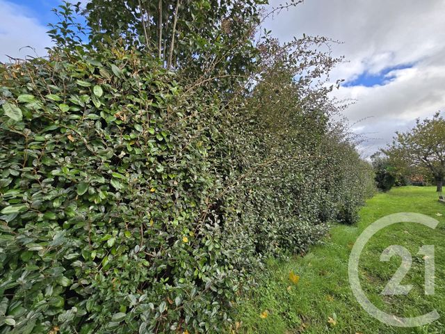 Terrain &agrave; vendre - 1300 m2 - Carbonne - 31 - MIDI-PYRENEES