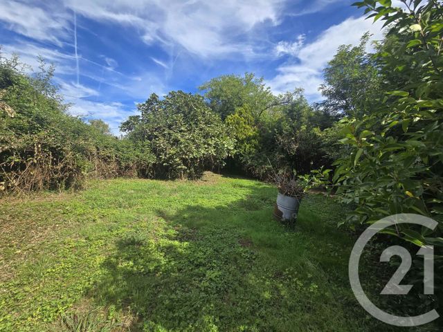 terrain - CARBONNE - 31