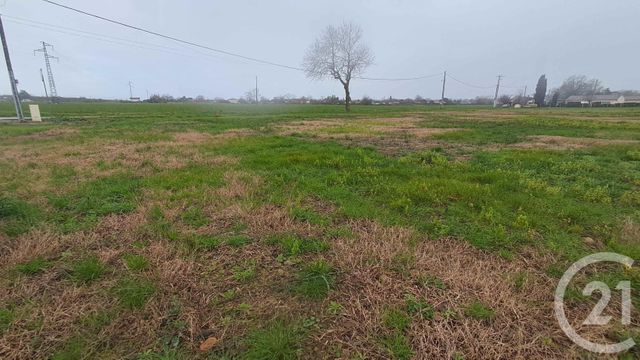 Terrain &agrave; vendre - 1686 m2 - Lafitte Vigordane - 31 - MIDI-PYRENEES