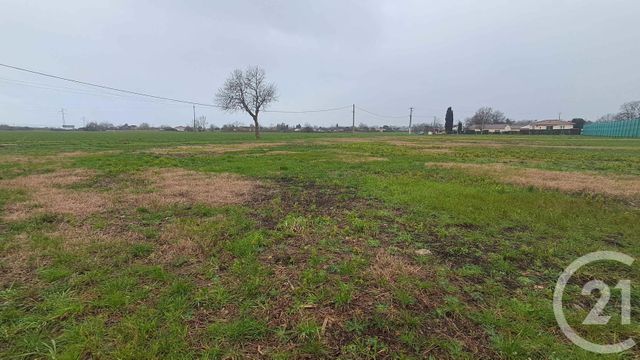 Terrain &agrave; vendre - 1677 m2 - Lafitte Vigordane - 31 - MIDI-PYRENEES