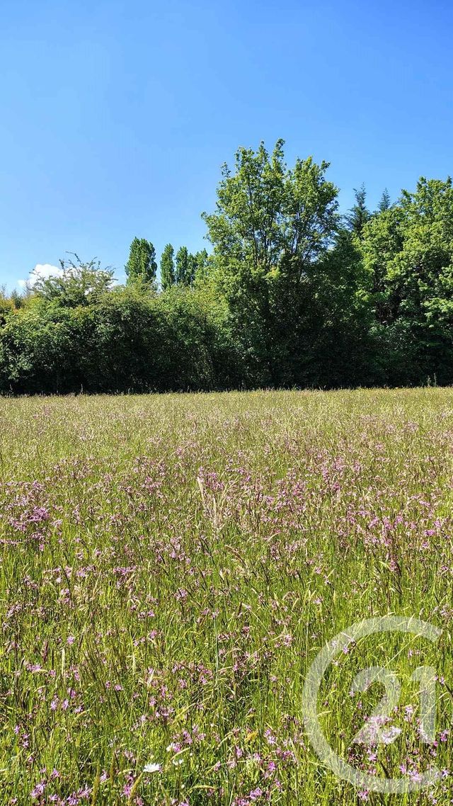 Terrain &agrave; vendre - 16731 m2 - Thermes Magnoac - 65 - MIDI-PYRENEES