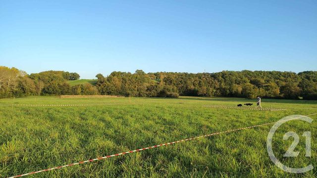 Terrain &agrave; vendre - 16731 m2 - Thermes Magnoac - 65 - MIDI-PYRENEES