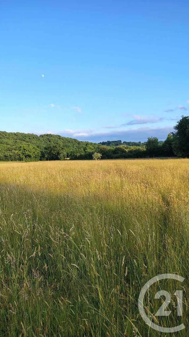 Terrain &agrave; vendre - 16731 m2 - Thermes Magnoac - 65 - MIDI-PYRENEES