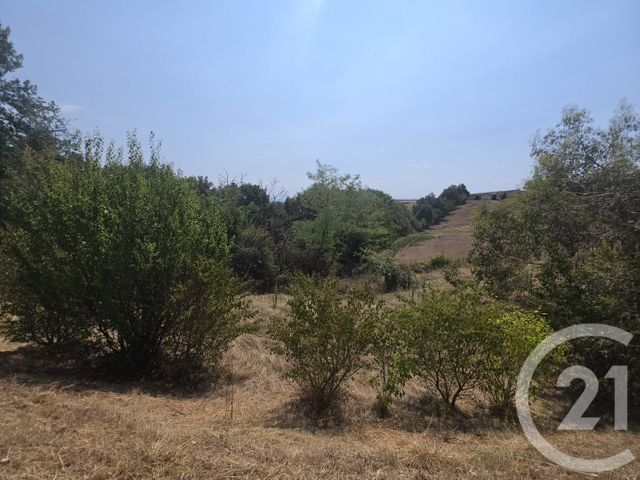 Maison &agrave; vendre - 4 pi&egrave;ces - 120 m2 - Gaillac Toulza - 31 - MIDI-PYRENEES