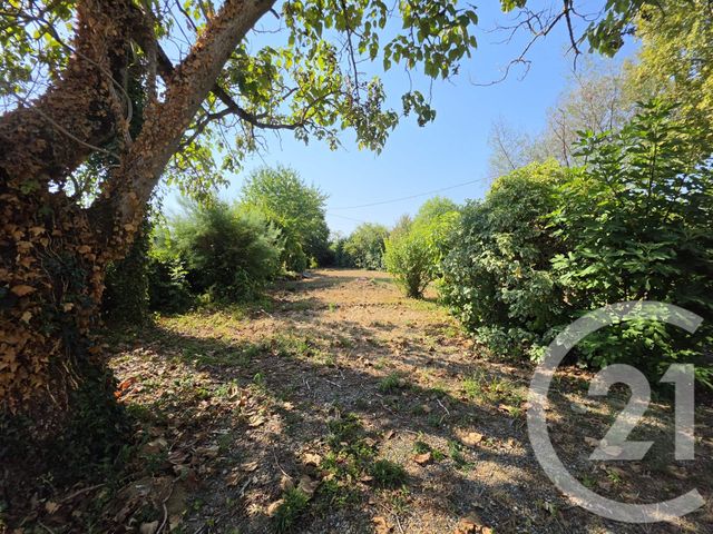 Maison &agrave; vendre - 4 pi&egrave;ces - 115 m2 - Montesquieu Volvestre - 31 - MIDI-PYRENEES