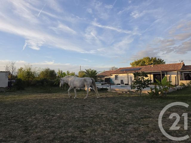 Maison &agrave; vendre - 7 pi&egrave;ces - 170 m2 - Muret - 31 - MIDI-PYRENEES