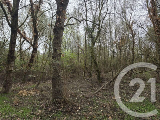 Terrain &agrave; vendre - 64000 m2 - Longages - 31 - MIDI-PYRENEES