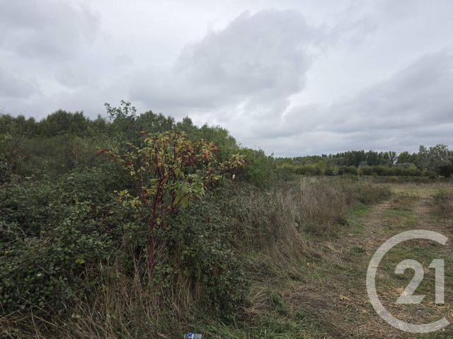 Terrain &agrave; vendre - 64000 m2 - Longages - 31 - MIDI-PYRENEES