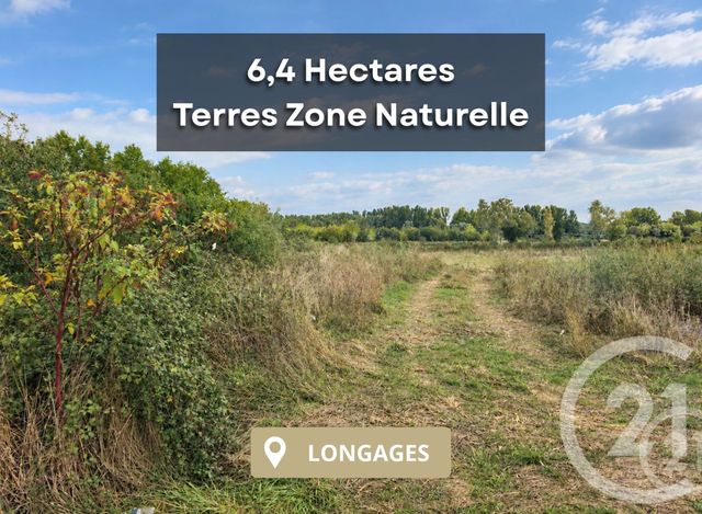 Terrain &agrave; vendre - 64000 m2 - Longages - 31 - MIDI-PYRENEES