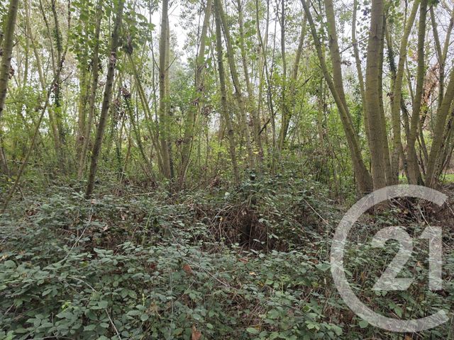Terrain &agrave; vendre - 64000 m2 - Longages - 31 - MIDI-PYRENEES