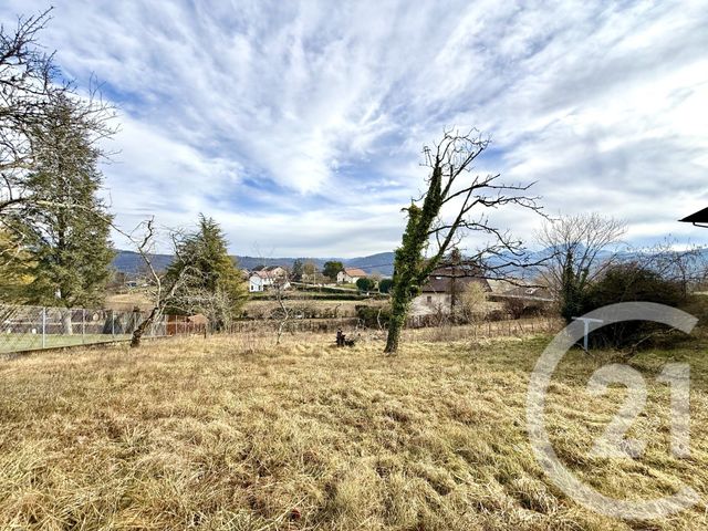 terrain - BELLEY - 01