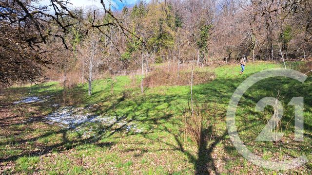 Terrain &agrave; vendre - 2560 m2 - Belmont Luthezieu - 01 - RHONE-ALPES