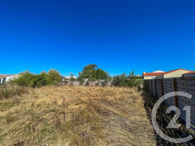 terrain - L ILE D OLONNE - 85