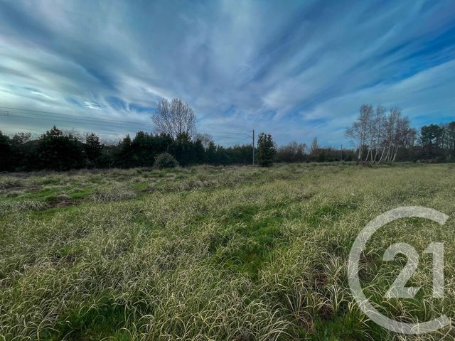 Terrain &agrave; vendre - 1250 m2 - Olonne Sur Mer - 85 - PAYS-DE-LOIRE