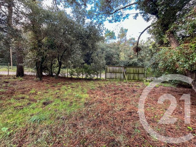 Terrain à vendre - 1024 m2 - Les Sables D Olonne - 85 - PAYS-DE-LOIRE