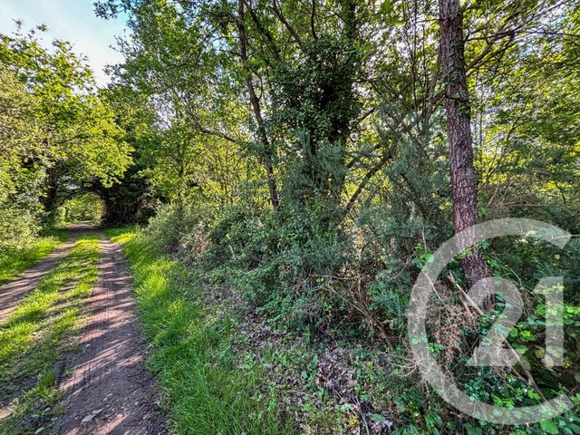 Terrain &agrave; vendre - 1115 m2 - Olonne Sur Mer - 85 - PAYS-DE-LOIRE