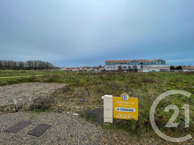 terrain - OLONNE SUR MER - 85