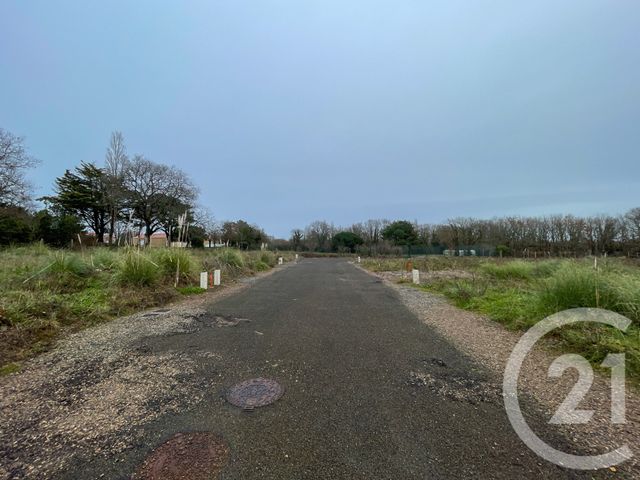 Terrain &agrave; vendre - 539 m2 - Olonne Sur Mer - 85 - PAYS-DE-LOIRE