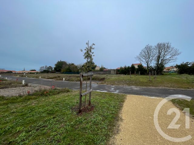 Terrain &agrave; vendre - 539 m2 - Olonne Sur Mer - 85 - PAYS-DE-LOIRE