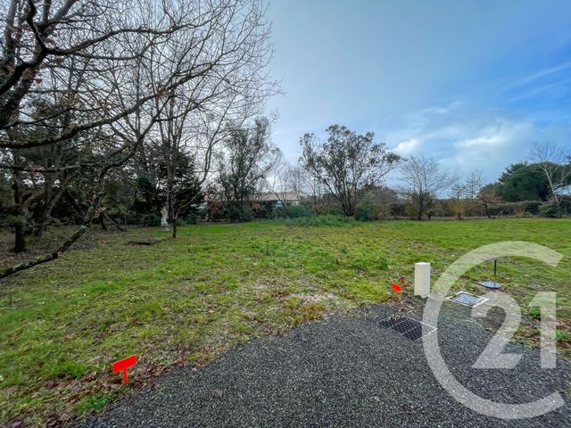 Terrain &agrave; vendre - 732 m2 - Chateau D Olonne - 85 - PAYS-DE-LOIRE