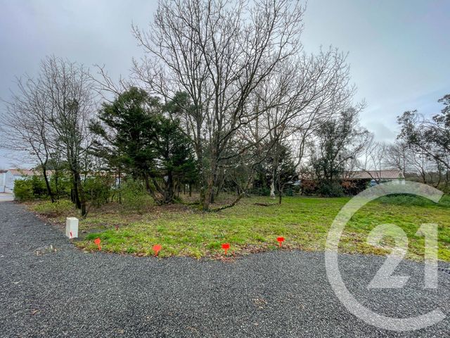 Terrain &agrave; vendre - 1424 m2 - Chateau D Olonne - 85 - PAYS-DE-LOIRE