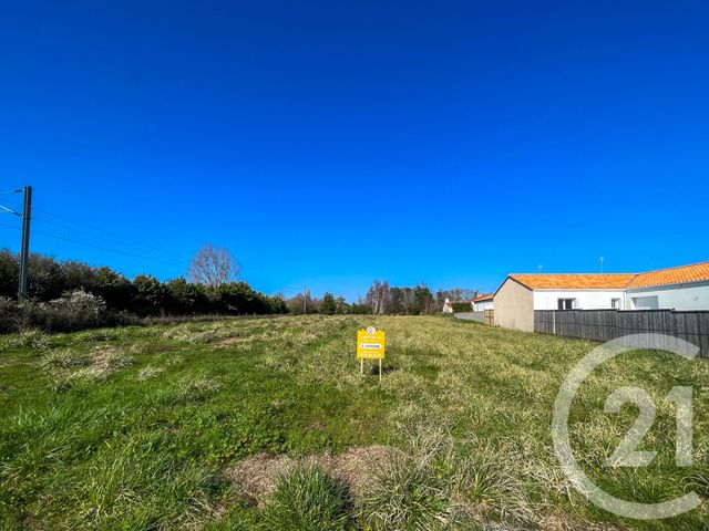 terrain - OLONNE SUR MER - 85