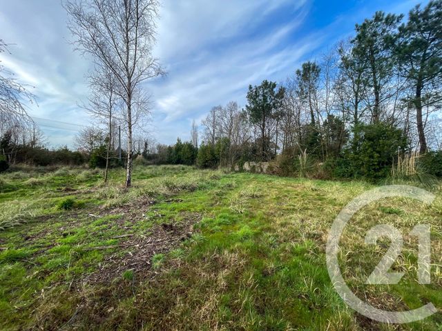 Terrain &agrave; vendre - 3649 m2 - Olonne Sur Mer - 85 - PAYS-DE-LOIRE