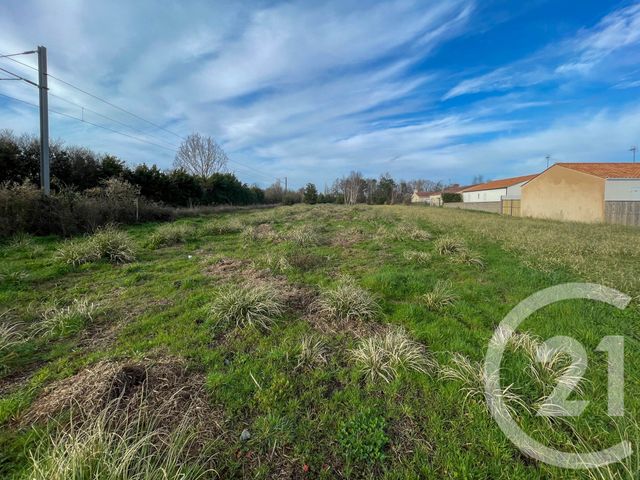 Terrain &agrave; vendre - 3649 m2 - Olonne Sur Mer - 85 - PAYS-DE-LOIRE