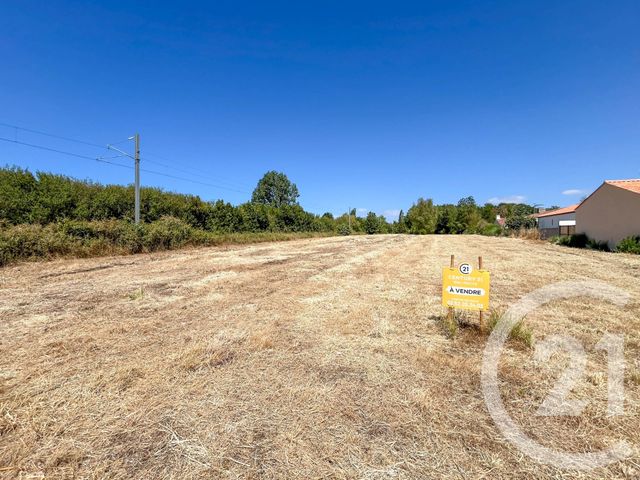 Terrain &agrave; vendre - 3649 m2 - Olonne Sur Mer - 85 - PAYS-DE-LOIRE
