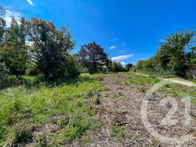 Terrain &agrave; vendre - 823 m2 - Olonne Sur Mer - 85 - PAYS-DE-LOIRE