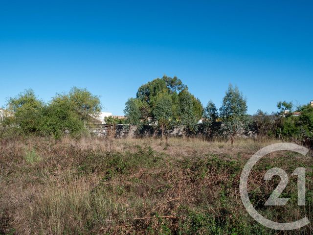 terrain - L ILE D OLONNE - 85