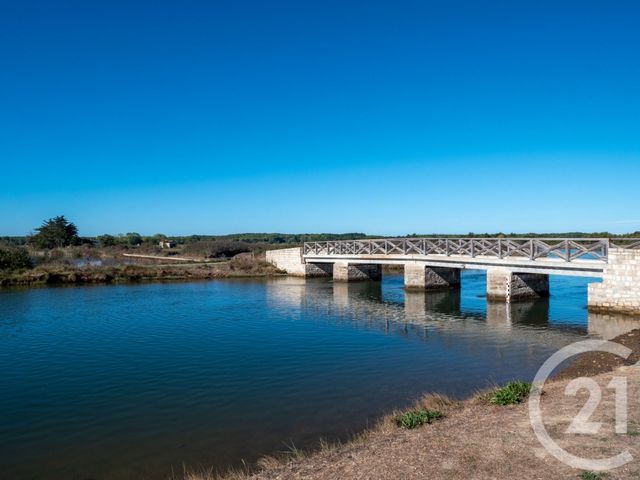 Terrain &agrave; vendre - 250 m2 - L Ile D Olonne - 85 - PAYS-DE-LOIRE