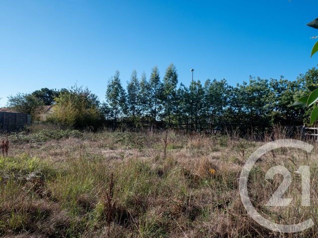 terrain - L ILE D OLONNE - 85