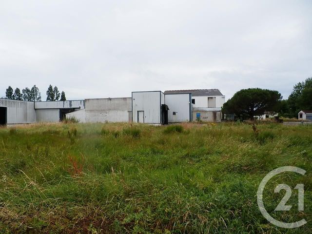 Murs à vendre à vendre - 21398.0 m2 - 85 - Vendee