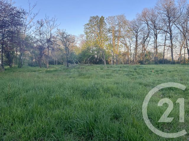 Terrain &agrave; vendre - 3454 m2 - Leguevin - 31 - MIDI-PYRENEES