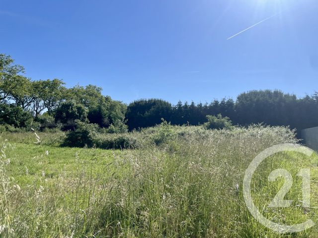 Terrain &agrave; vendre - 1274 m2 - Leguevin - 31 - MIDI-PYRENEES