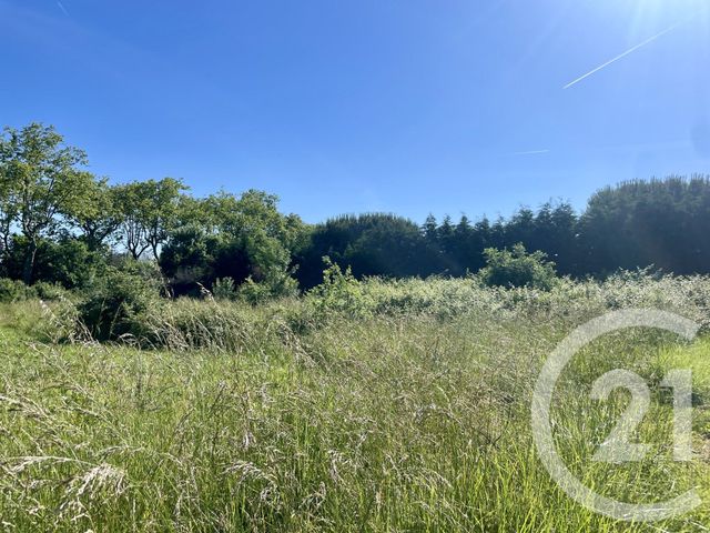 Terrain &agrave; vendre - 1274 m2 - Leguevin - 31 - MIDI-PYRENEES