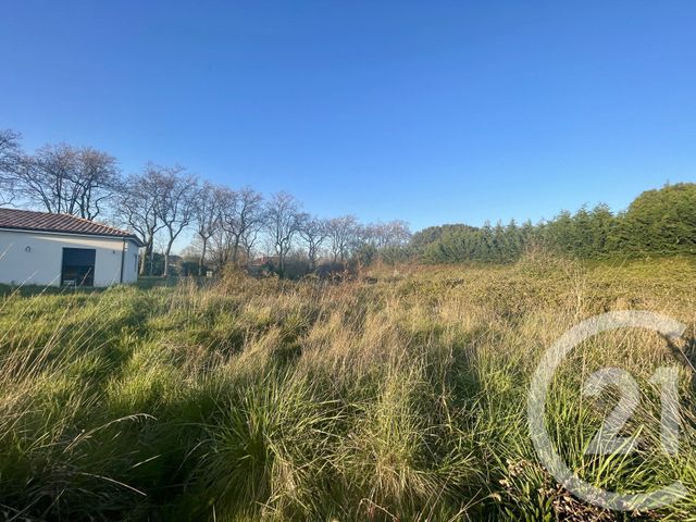 Terrain &agrave; vendre - 1274 m2 - Leguevin - 31 - MIDI-PYRENEES