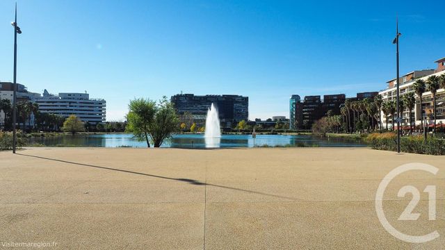 appartement - MONTPELLIER - 34