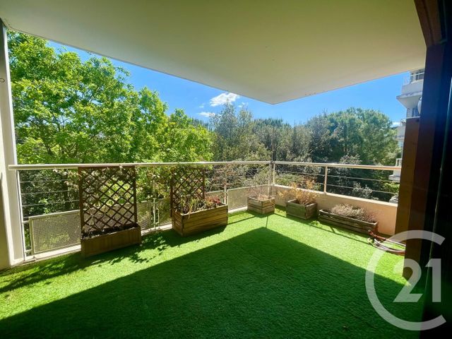 appartement - MONTPELLIER - 34