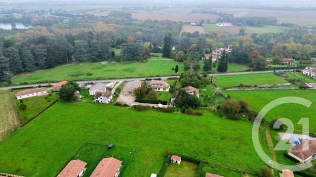 Terrain &agrave; vendre - 11700 m2 - Labastide Villefranche - 64 - AQUITAINE