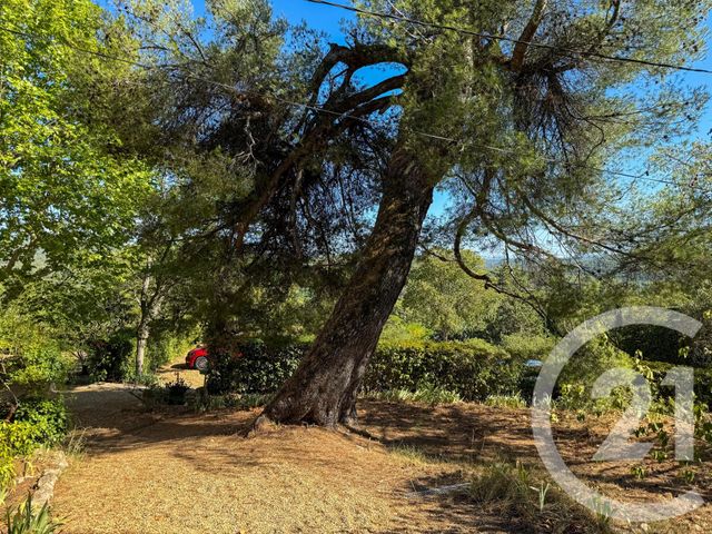 Appartement T3 &agrave; louer - 3 pi&egrave;ces - 60 m2 - Le Tholonet - 13 - PROVENCE-ALPES-COTE-D-AZUR