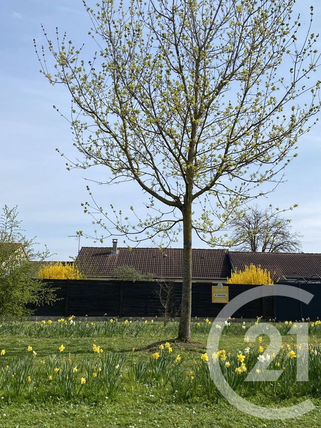 Maison &agrave; vendre - 5 pi&egrave;ces - 88 m2 - Metz - 57 - LORRAINE