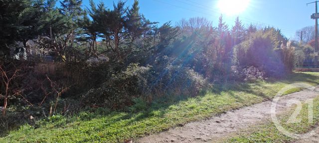 Immeuble &agrave; vendre - 480 m2 - Graulhet - 81 - MIDI-PYRENEES