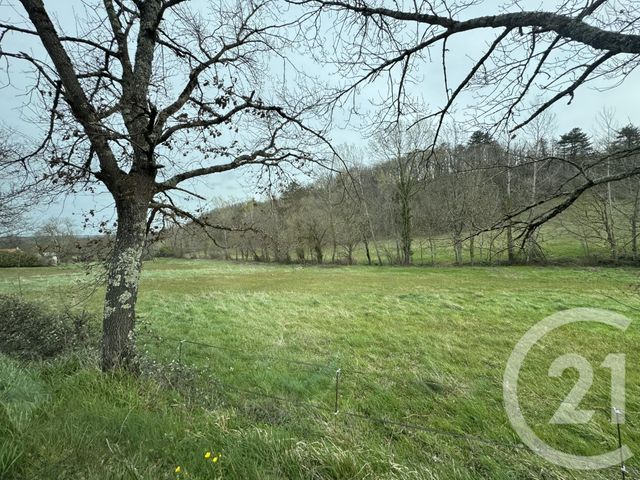 Terrain &agrave; vendre - 3000 m2 - Graulhet - 81 - MIDI-PYRENEES