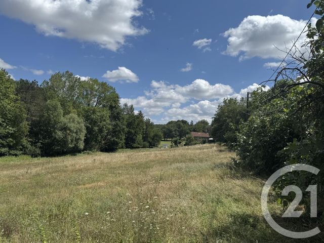 Terrain &agrave; vendre - 3000 m2 - Graulhet - 81 - MIDI-PYRENEES