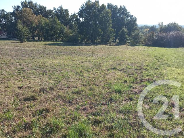 Terrain &agrave; vendre - 1424 m2 - Graulhet - 81 - MIDI-PYRENEES